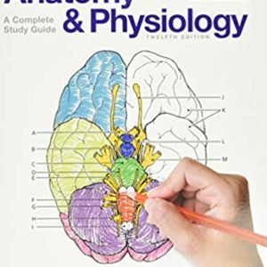 Anatomy and Physiology Coloring Workbook: A Complete Study Guide