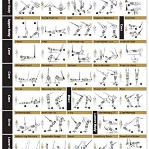 NewMe Fitness Workout Posters for Home Gym - Exercise Posters for Full Body Workout - Core, Abs, Legs, Glutes & Upper Body Training Program