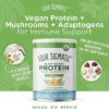 Organic Plant-Based Protein Powder by Four Sigmatic | Sweet Vanilla Protein with Lion’s Mane, Chaga, Cordyceps, and More | Clean Vegan Protein Elevated for Brain Function and Immune Support | 21.16 oz - Image 2