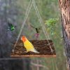 Bird Perch Stand Toy, Bird Food Holder, Natural Wooden Bird Cage Accessories, Bird Standing Climbing Perch for Parrot, Cockatiel, Rat, Parakeet, Budgies, Love Birds - Image 5