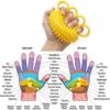 Hand Grip Exerciser Strengthener, 4 Fingers Strengthener Hand Therapy Equipment, Grip Strength Trainer&Therapy Ball for Therapy Arthritis, Relieve Wrist, Thumb Pain & Hand Recovery - Image 2