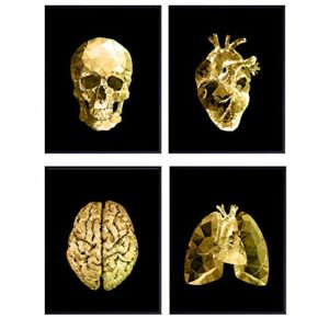 Abstract Human Anatomy Wall Art Poster Set- Gift for Doctor, Nurse, Physicians Assistant, RN - Modern Black and Gold Room Decor Home Decorations Set for Medical Office - Heart, Skull, Lungs, Brain