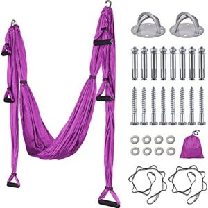 Aerial Yoga Swing Set, Aerial Silks Yoga Hammock Trapeze Sling Yoga Swing, Antigravity Yoga Inversion Tool with Ceiling Anchors and Daisy Chains for Gym Home Fitness