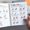Men's Health: Muscle After 40: The Ultimate Step-by-Step Training Guide to Safely Build Your Best Body Ever in Your 40s and Beyond - Lose Unwanted Fat and Build Muscles! - Image 3