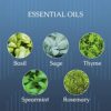Caldrea Hand Lotion, For Dry Hands, Made with Shea Butter, Aloe Vera, and Glycerin and Other Thoughtfully Chosen Ingredients, Basil Blue Sage Scent, 10.8 oz (Packaging May Vary) - Image 2