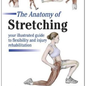 Anatomy Of Stretching 2nd