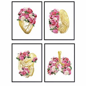 Heart, Lungs, Brain, Anatomy Floral Art Print Set - Boho, Bohemian Vintage Medical Wall Art Decor for Bedroom, Living Room, Doctor Office - Shabby Chic Gift for Women, Nurse, RN, CNA - 8x10 UNFRAMED
