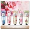 20 Pack Plant Fragrance Hand Cream Moisturizing Hand Cream for Dry Hands Thanksgiving Christmas Gift Set Travel Size Hand Lotion - Image 8