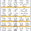 Palace Learning 4 Pack - Suspension Workout Posters Volume 1, 2 & 3 + Bodyweight Exercise Chart - Set of 4 Posters - Image 4