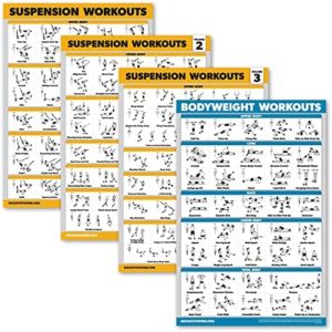 Palace Learning 4 Pack - Suspension Workout Posters Volume 1, 2 & 3 + Bodyweight Exercise Chart - Set of 4 Posters