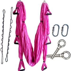 wellsem Complete Set Flying Aerial Yoga Hammock Yoga Inversion Sling Trapeze for Body Building Workout Fitness with Daisy Chain&carabiners (5 Colors Choice)