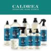 Caldrea Hand Lotion, For Dry Hands, Made with Shea Butter, Aloe Vera, and Glycerin and Other Thoughtfully Chosen Ingredients, Basil Blue Sage Scent, 10.8 oz (Packaging May Vary) - Image 6