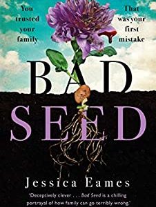 Bad Seed: A chilling, thrilling family drama for fans of Shari Lapena