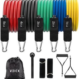 VEICK Resistance Bands Set,Exercise Bands,Workout Bands,Resistance Band with Handles for Men,Weights for Women at Home,Strength Training Equipment for Working Out