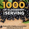 Viva Naturals Sambucus Elderberry with Vitamin C, Zinc, Vitamin D3 5000 IU & Ginger (120 Capsules) - Antioxidant & Immune Support Supplement, 2 Month Supply - 5 in 1 Black Elderberry for Adults - Image 4