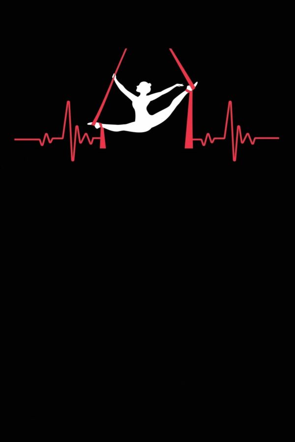 Aerial Silks In A Heartbeat Notebook: A Notebook & Journal For Aerialists, Aerial Instructors & Yoga Silks Lovers