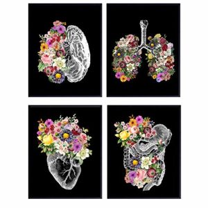 Black Flower Organs - Anatomy Decor, Home Wall Art- Gift for Doctor, Nurse, Physicians Assistant, PA - Vintage Steampunk Posters for Dr Office - Heart, Lungs, Brain -8x10 UNFRAMED Photo Print Poster