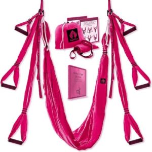 Aerial Yoga Swing Set - Yoga Hammock Aerial Swing - Aerial Sling Inversion Fly Kit - Flying Yoga Inversion Tool - Antigravity Ceiling Hanging Yoga Sling - Adult Kids Arial Door Yoga Swing