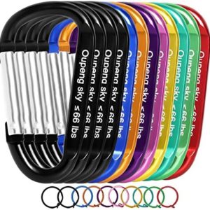 Carabiner Keychain Clip - Aluminum Carabeaner Key Clip,D Ring Shape Caribeener Hook Buckle,Spring Snap Key Chain Clips
