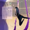 Aerial Yoga Hammock - Premium Aerial Silk Yoga Swing for Antigravity Yoga Inversion Exercises - Extension Straps, Improved Flexibility & Core Strength with Extension Straps, Cabiners, and Pose Guide - Image 5