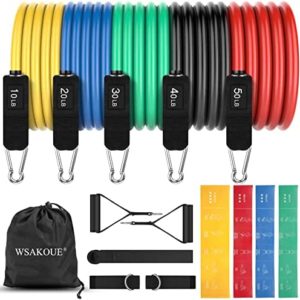 WSAKOUE Resistance Bands Set, Exercise Bands, Workout Bands for Men & Women, 5 Level Fitness Bands, Handles Door Anchor Ankle Straps and Carry Bag for Home Outdoor Workouts
