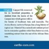 Earth's Care Dry and Cracked Skin Balm Moisturizer for Dry Skin - Cracked Hands Repair Cream - Foot Cream for Dry Heels 2.5 OZ (2 Jars) - Image 2