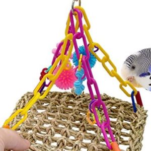 00747 Mini Flying Trapeze Bird Toy Parrot Shred cage Toys Cages Cockatiel Conure