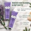 10 Packs Hand Cream Gift Set, SHVYOG Fragrance Hand Lotion Set with Foot Cream for Dry Cracked Hands, Deeply Moisturizing Hand Cream Set, Travel Size Hand Lotion, Unique Christmas Gift Set - Image 3