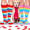 4 Pairs Rainbow knee socks Women Colorful Striped High Socks Girls Thigh High Stockings - Image 6