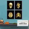 Abstract Human Anatomy Wall Art Poster Set- Gift for Doctor, Nurse, Physicians Assistant, RN - Modern Black and Gold Room Decor Home Decorations Set for Medical Office - Heart, Skull, Lungs, Brain - Image 7