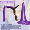 Aerial Yoga Hammock - Premium Aerial Silk Yoga Swing for Antigravity Yoga Inversion Exercises - Extension Straps, Improved Flexibility & Core Strength with Extension Straps, Cabiners, and Pose Guide - Image 2