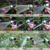 Garden Hose Nozzle Heavy Duty Spray 9 Adjustable Patterns Metal Water Jet Hose Sprayer Hand Gun Grip Trigger for Cleaning/Watering Lawn and Garden/Pets Shower by SUNRICH - Image 6