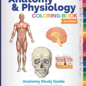 Anatomy and Physiology Coloring Book: Anatomy Study Guide. Anatomy and Physiology Workbook