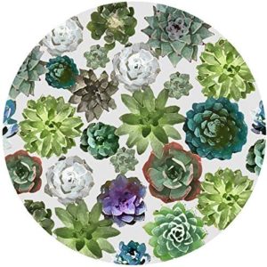 Andreas Silicone Non-Slip 6.25" Jar Opener, Easy Lid Opener, Made with Silicone and Fabric, Dishwasher Safe, Garlic Peeler, Succulents, 6.25 inch