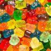 Albanese World's Best 12 Flavor Gummi Bear Cubs Mini Packs, 50 Count Mini Bags - Image 4