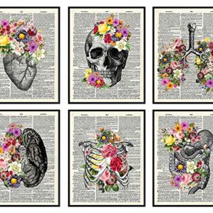 Medical Dictionary Art Set - 8x10 Vintage Anatomical Posters - Floral Wall Decor for Doctors Office, Clinic, Med Student Dorm - Shabby Chic Gift for Nurses, Physicians Assistant, PA - Unframed Photos