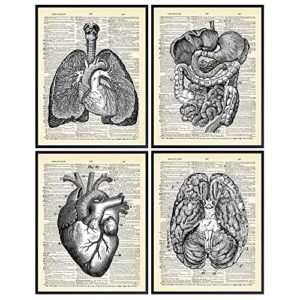 Heart, Lungs, Brain, Intestine Anatomy Organs - Upcycled Dictionary Wall Art Prints for Medical Clinic, Office - 8x10 Vintage Steampunk Goth Decor Set - Gift for Doctor, Nurse, Med School, Student