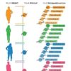 Beginner Hoop. Your Choice of Color. Made in the USA. - Image 2