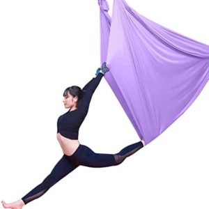 WTXDDQ Purple Yoga Hammock, Aerial Yoga Swing Set, Antigravity Yoga Hammock/Sling/Inversion Tool for Gym Home Fitness 5M,B