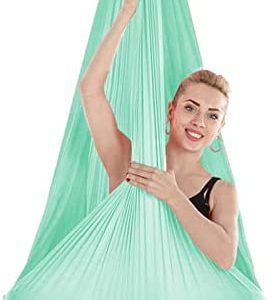 YANGHUI Yoga Hammock Aerial Yoga Flying Yoga Swing Sling Inversion Tool for Gym Home Fitness 5M,I