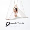 DaBoJinGo Aerial Yoga Swing Set Yoga Hammock Kit Extension Straps Sling Flying Yoga Inversion Tool,Antigravity Flying Extension Straps 5 * 2.8m - Image 5