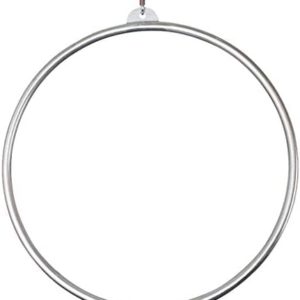Dance Yoga Pilates Exercises Hoops, Aerial Acrobatic Hoop, Lyre for Aerial Acrobatics Steel Rings Circles Yoga Fabrics Circus Pilates Lyra Trapezes (Color : Silver, Size : 85cm)