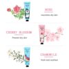 Chilin Hand Cream Gift Set, 10 Pieces Perfumed Moisturising Hand Cream for Very Dry Cracked Hands, Moisturising Cream Care Cream Hand Cream Set Christmas Gift for Men Women Children, Red, 1 Ounce - Image 4