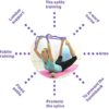 MJIYA Yoga Stretch Exercise Strap with 10 Flexible Loops Thicken Exercise Band Gravity Fitness Stretching Strap Physical Therapist Recommended Exercises and Pilates Workouts - Image 6