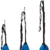 SYN-GUGAI Yoga Swing Set, Yoga Hammock Yoga for Home Gym Fitness, Accessories Included， for Inversion Exercise Pilates Gymnastics (Color : C) - Image 2