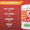 Ryse Element Series Pre-Workout | Everyday Pre-Workout | Beta Alanine, NO3-T Nitrates | 200mg Caffeine | 25 Servings (Sunny D Orange Strawberry) - Image 4