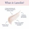 Lanolips Hand Cream Intense Rose - Hydrating Hand Lotion with Lanolin, Vitamin E + Shea butter - Great for Dry, Cracked Hands + Cuticles - Cruelty-Free, Vegetarian (50ml / 1.69 fl oz) - Image 6