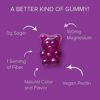 Sugar Free Magnesium Gummies - 180 Gummies, Calming Anti-Stress Gummies, Magnesium Supplement for Kids and Adults, Vegan, Gelatin-Free, Gluten-Free, Non-GMO, Delicious Natural Raspberry Flavor (180) - Image 4