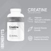 Nui Nutra Creatine Monohydrate Pills | 3G | 200 Capsules | Muscle Mass, Strength, and Performance Improvement for Men and Women | Pre Workout Energy & Post Workout Recovery - Image 3