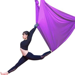 LJYT 5m,Yoga Swing,Aerial Yoga Swing Strong Antigravity Yoga Hammock/Sling/Inversion Tool for Gym,Home (Color : C)